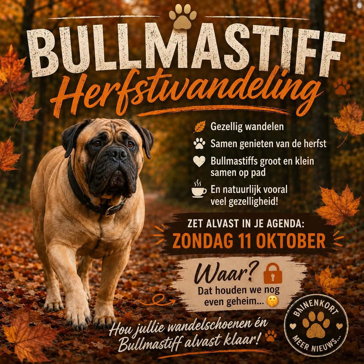 Bullmastiff herfstwandeling