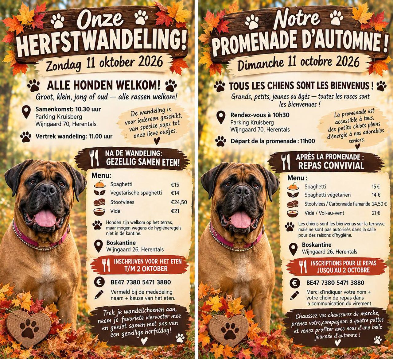 Bullmastiff  herfstwandeling