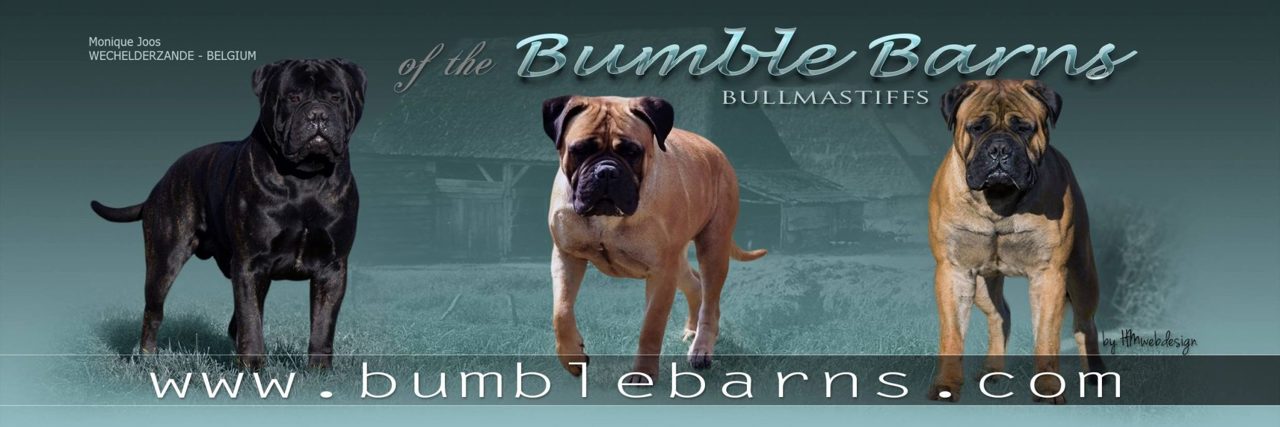 Bumble Barns